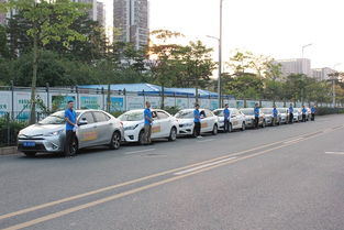 龍翔專業汽車陪駕 全方位服務，助您安全駕駛上路